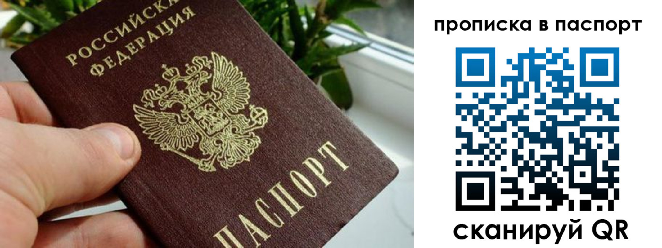 пропишу в квартире в Волгоградской области
